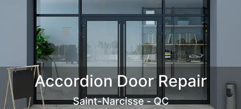  Accordion Door Repair Saint-Narcisse - QC