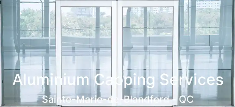  Aluminium Capping Services Sainte-Marie-de-Blandford - QC