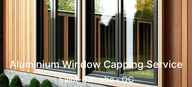  Aluminium Window Capping Service Saint-Barnabe - QC