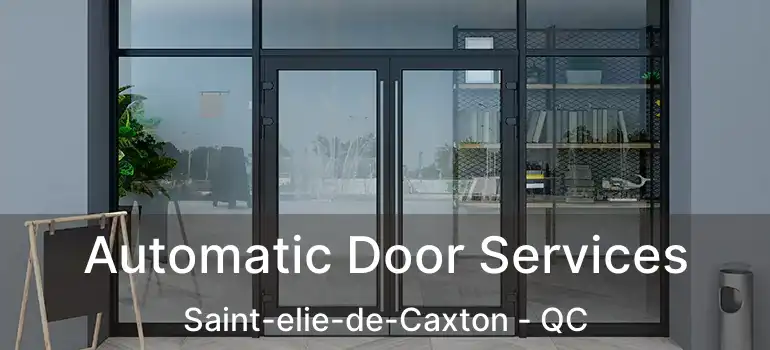  Automatic Door Services Saint-elie-de-Caxton - QC