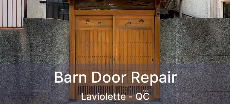 Barn Door Repair Laviolette - QC