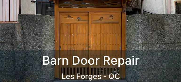  Barn Door Repair Les Forges - QC