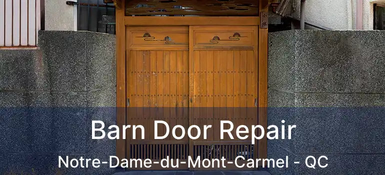  Barn Door Repair Notre-Dame-du-Mont-Carmel - QC