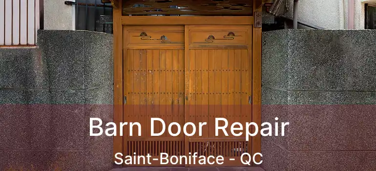  Barn Door Repair Saint-Boniface - QC