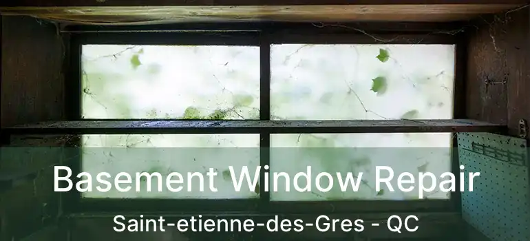  Basement Window Repair Saint-etienne-des-Gres - QC