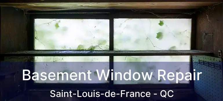  Basement Window Repair Saint-Louis-de-France - QC