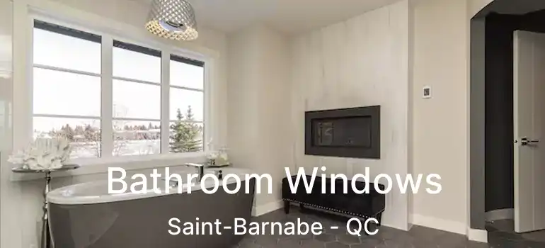  Bathroom Windows Saint-Barnabe - QC