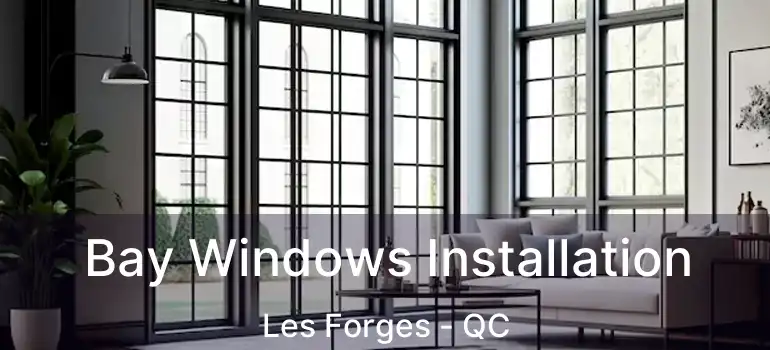  Bay Windows Installation Les Forges - QC