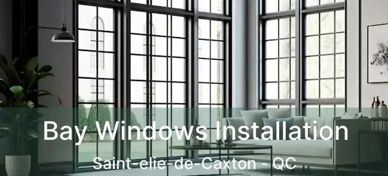 Bay Windows Installation Saint-elie-de-Caxton - QC