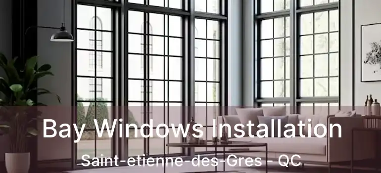  Bay Windows Installation Saint-etienne-des-Gres - QC