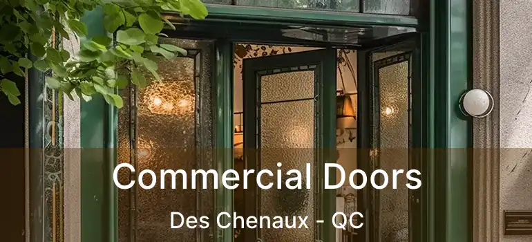  Commercial Doors Des Chenaux - QC