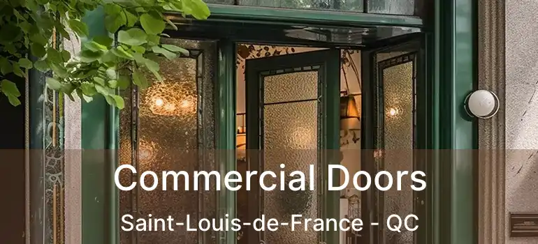  Commercial Doors Saint-Louis-de-France - QC