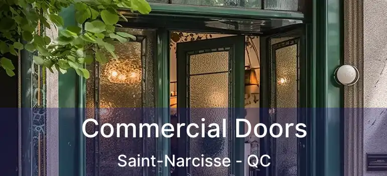  Commercial Doors Saint-Narcisse - QC