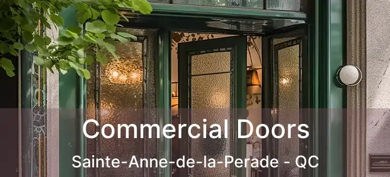  Commercial Doors Sainte-Anne-de-la-Perade - QC