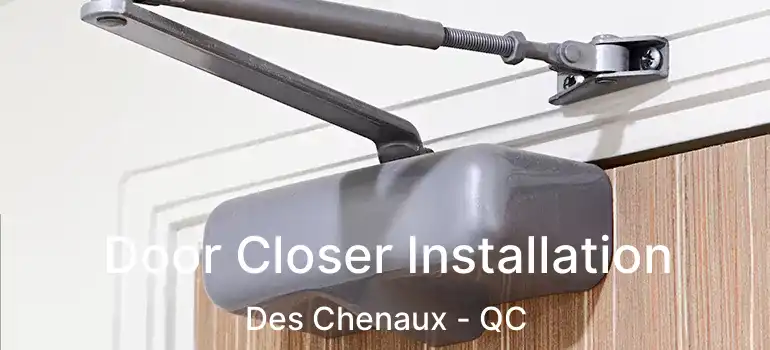  Door Closer Installation Des Chenaux - QC