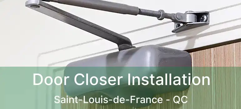  Door Closer Installation Saint-Louis-de-France - QC