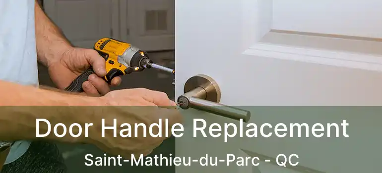  Door Handle Replacement Saint-Mathieu-du-Parc - QC