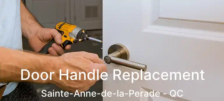  Door Handle Replacement Sainte-Anne-de-la-Perade - QC