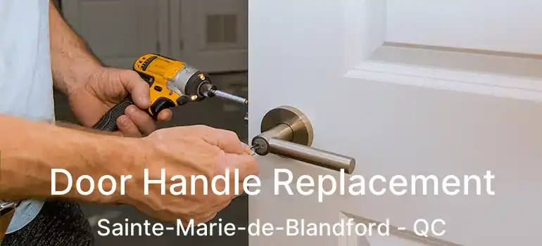 Door Handle Replacement Sainte-Marie-de-Blandford - QC