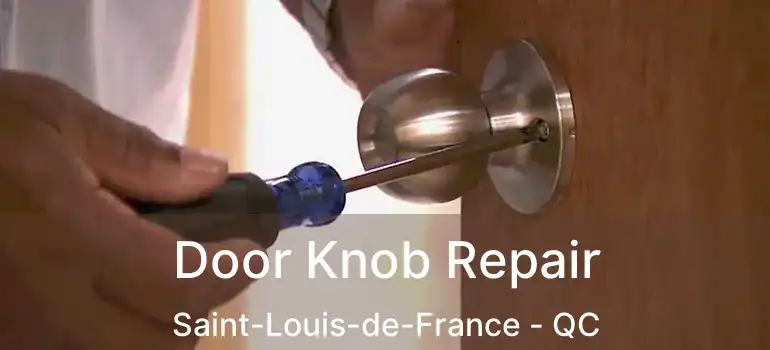  Door Knob Repair Saint-Louis-de-France - QC