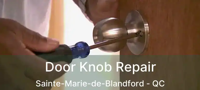  Door Knob Repair Sainte-Marie-de-Blandford - QC