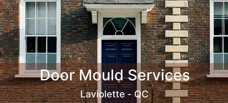  Door Mould Services Laviolette - QC
