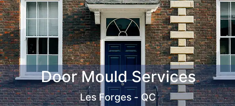  Door Mould Services Les Forges - QC