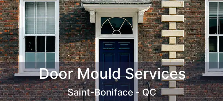  Door Mould Services Saint-Boniface - QC