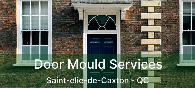  Door Mould Services Saint-elie-de-Caxton - QC