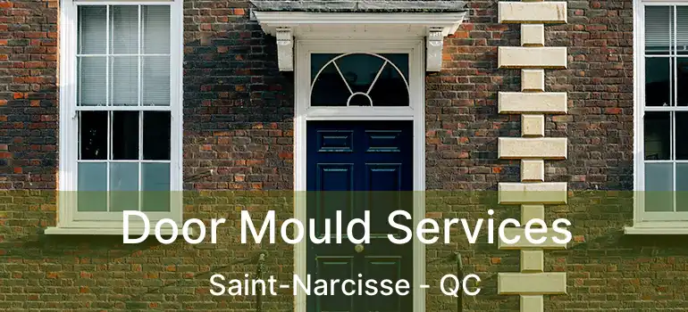  Door Mould Services Saint-Narcisse - QC