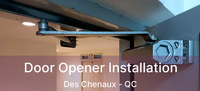  Door Opener Installation Des Chenaux - QC