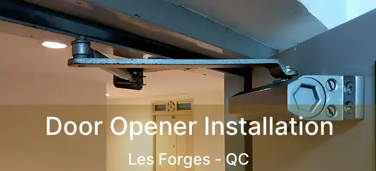  Door Opener Installation Les Forges - QC