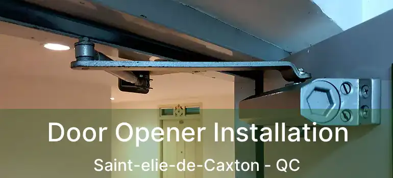  Door Opener Installation Saint-elie-de-Caxton - QC