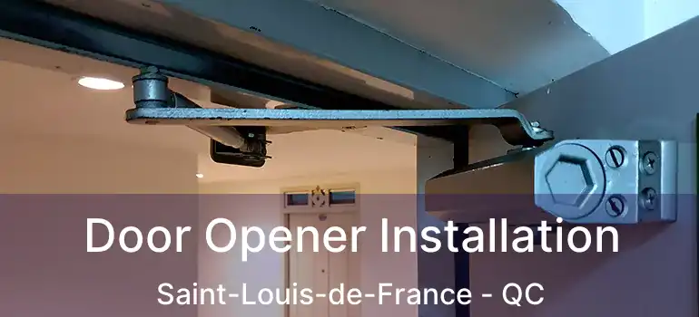  Door Opener Installation Saint-Louis-de-France - QC