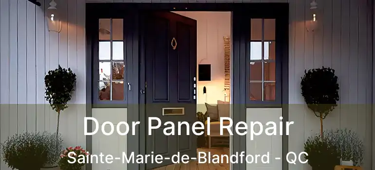  Door Panel Repair Sainte-Marie-de-Blandford - QC