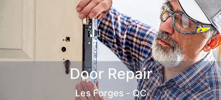  Door Repair Les Forges - QC