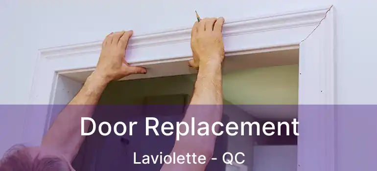  Door Replacement Laviolette - QC