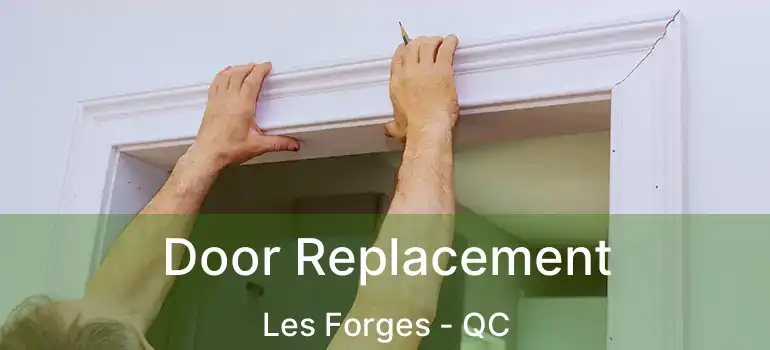  Door Replacement Les Forges - QC