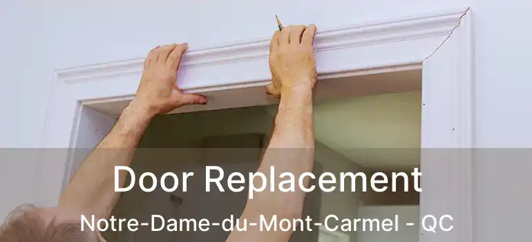  Door Replacement Notre-Dame-du-Mont-Carmel - QC
