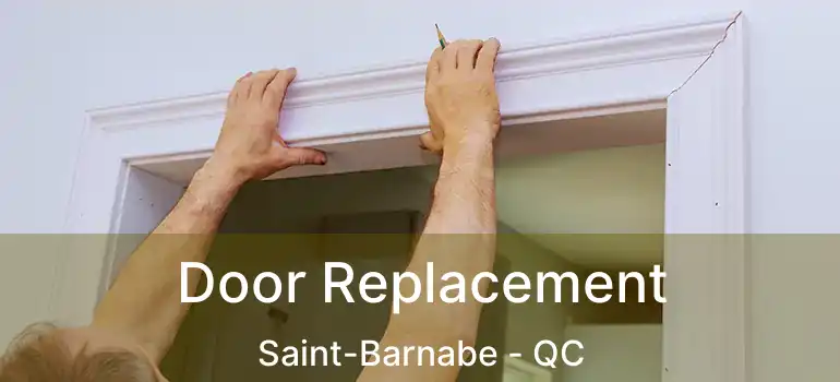  Door Replacement Saint-Barnabe - QC