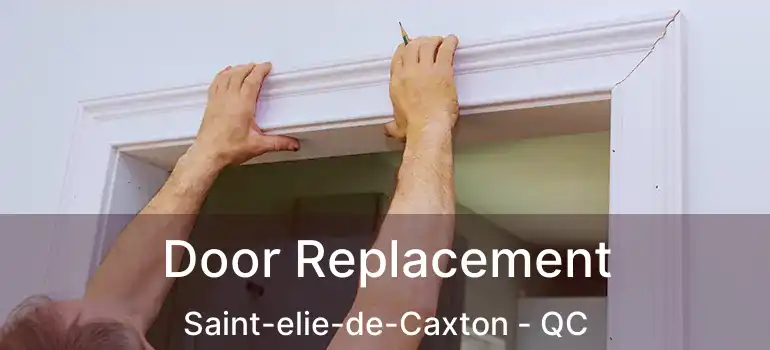  Door Replacement Saint-elie-de-Caxton - QC