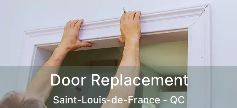  Door Replacement Saint-Louis-de-France - QC