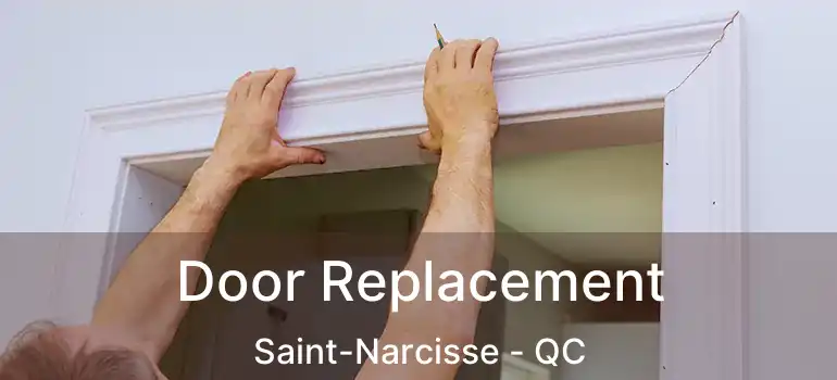  Door Replacement Saint-Narcisse - QC