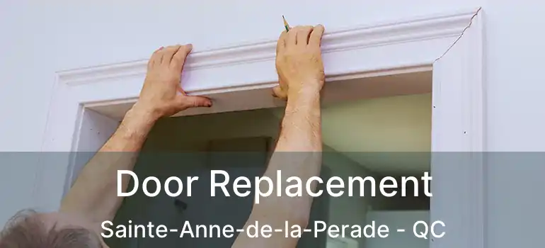  Door Replacement Sainte-Anne-de-la-Perade - QC