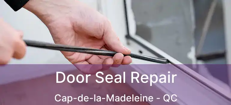  Door Seal Repair Cap-de-la-Madeleine - QC