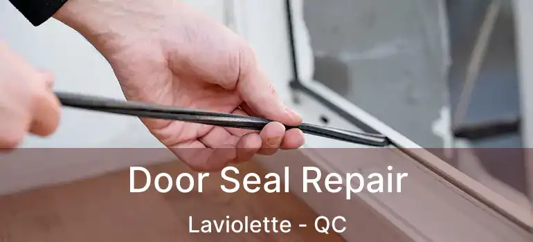  Door Seal Repair Laviolette - QC