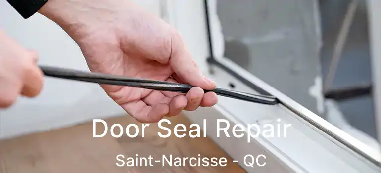  Door Seal Repair Saint-Narcisse - QC