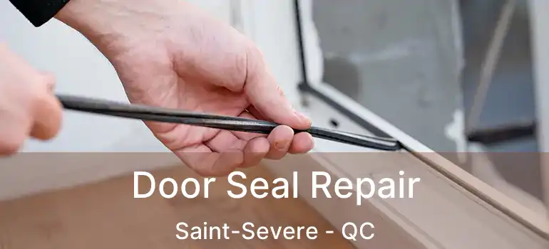  Door Seal Repair Saint-Severe - QC