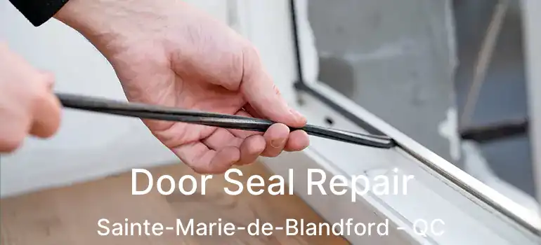 Door Seal Repair Sainte-Marie-de-Blandford - QC