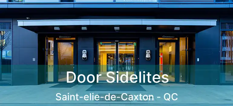  Door Sidelites Saint-elie-de-Caxton - QC